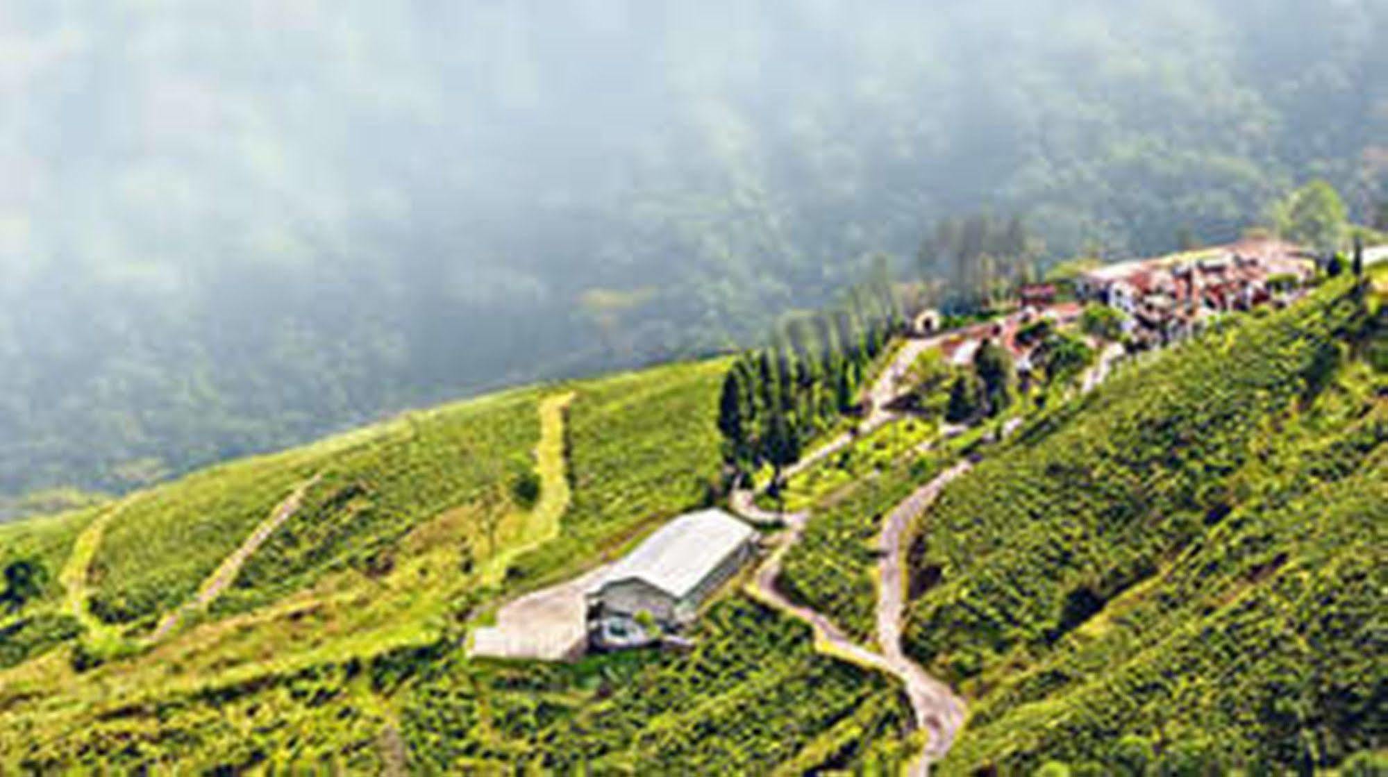 Central Nirvana Darjeeling  Ngoại thất bức ảnh